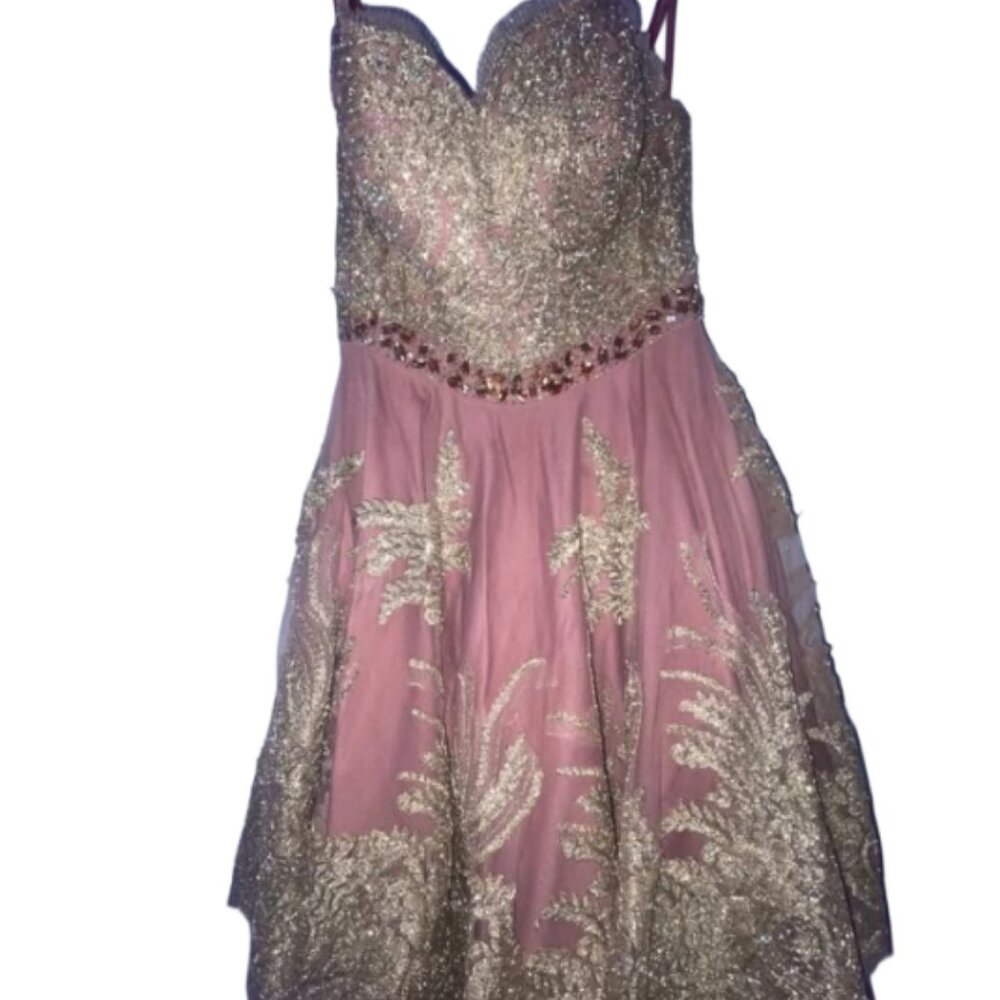 Johnny’s Pink & Gold Embellished Gown – Worn Once – Unique!